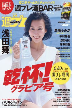 新还珠格格33